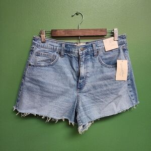 Universal Thread High-Rise 90s Cutoff Denim Shorts | Size 10 | NWT 🌿